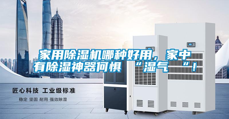 家用除濕機(jī)哪種好用，家中有除濕神器何懼 “濕氣 “！