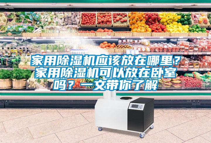 家用除濕機(jī)應(yīng)該放在哪里？家用除濕機(jī)可以放在臥室嗎？一文帶你了解