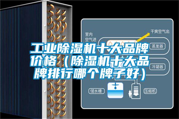 工業(yè)除濕機十大品牌價格（除濕機十大品牌排行哪個牌子好）