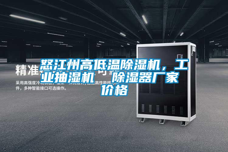 怒江州高低溫除濕機(jī)，工業(yè)抽濕機(jī)  除濕器廠家 價格