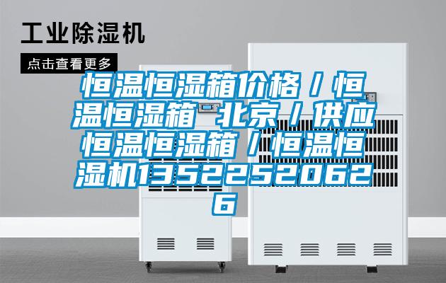 恒溫恒濕箱價格／恒溫恒濕箱 北京／供應(yīng)恒溫恒濕箱／恒溫恒濕機13522520626