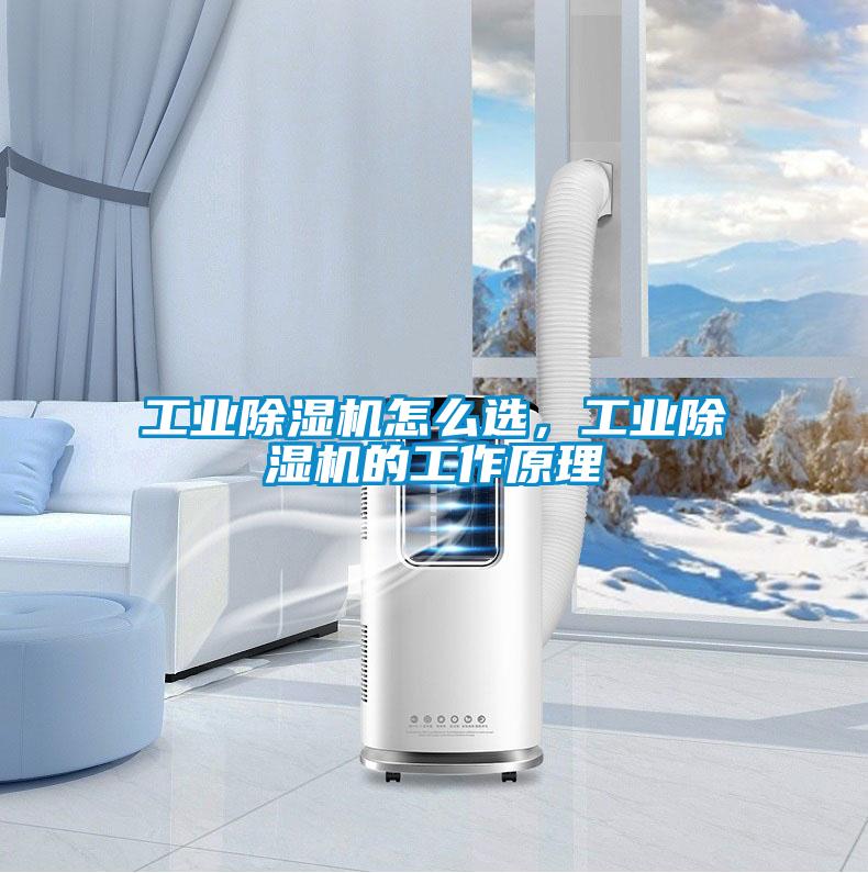 工業(yè)除濕機(jī)怎么選，工業(yè)除濕機(jī)的工作原理