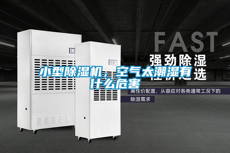 小型除濕機，空氣太潮濕有什么危害
