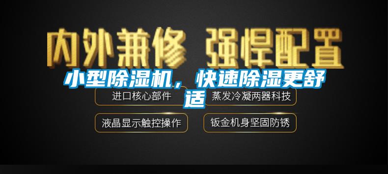 小型除濕機，快速除濕更舒適