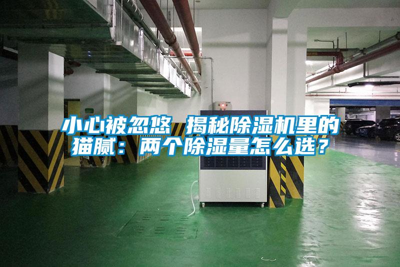 小心被忽悠 揭秘除濕機里的貓膩：兩個除濕量怎么選？