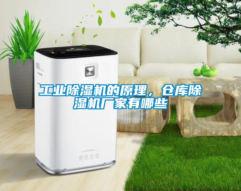 工業(yè)除濕機的原理，倉庫除濕機廠家有哪些