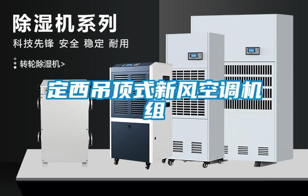 定西吊頂式新風空調(diào)機組