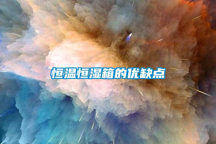 恒溫恒濕箱的優(yōu)缺點