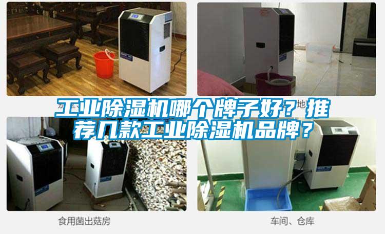 工業(yè)除濕機(jī)哪個(gè)牌子好？推薦幾款工業(yè)除濕機(jī)品牌？
