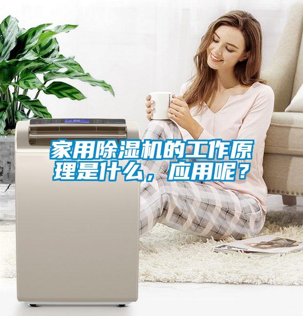 家用除濕機的工作原理是什么，應(yīng)用呢？