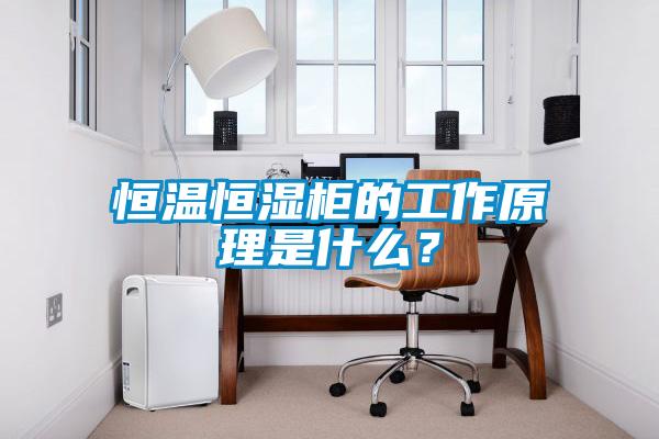恒溫恒濕柜的工作原理是什么？