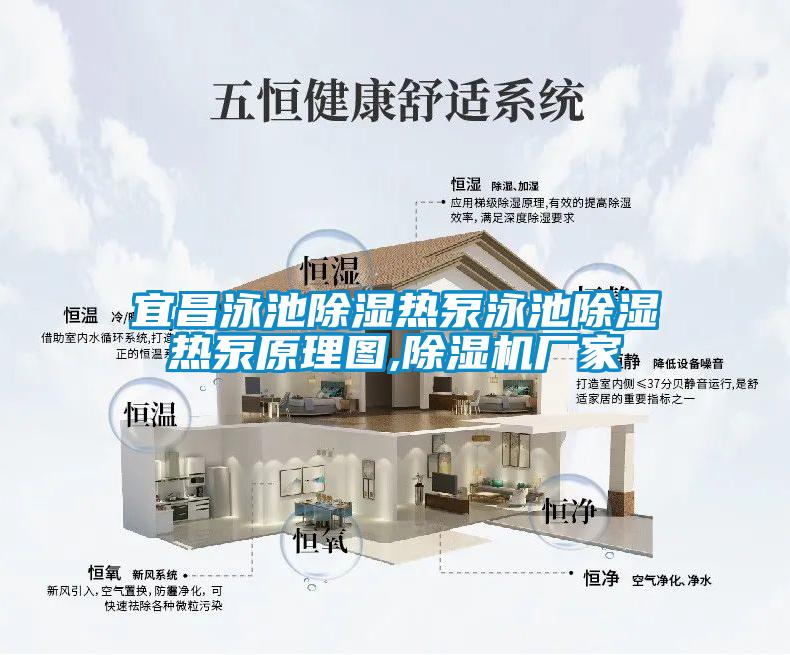 宜昌泳池除濕熱泵泳池除濕熱泵原理圖,除濕機(jī)廠家