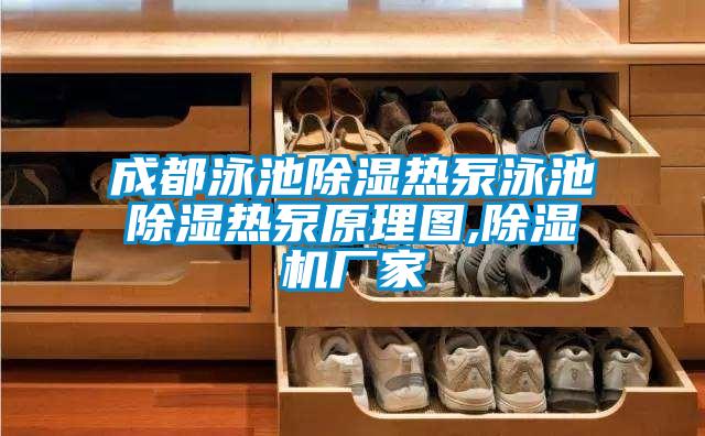 成都泳池除濕熱泵泳池除濕熱泵原理圖,除濕機(jī)廠(chǎng)家