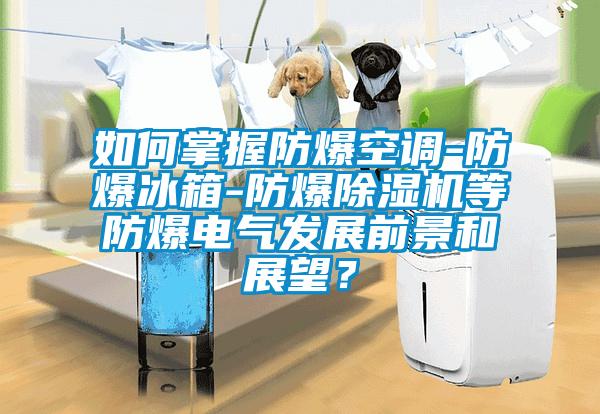 如何掌握防爆空調(diào)-防爆冰箱-防爆除濕機(jī)等防爆電氣發(fā)展前景和展望？