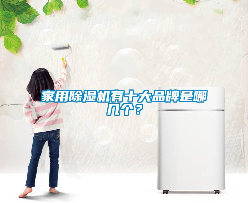 家用除濕機有十大品牌是哪幾個？
