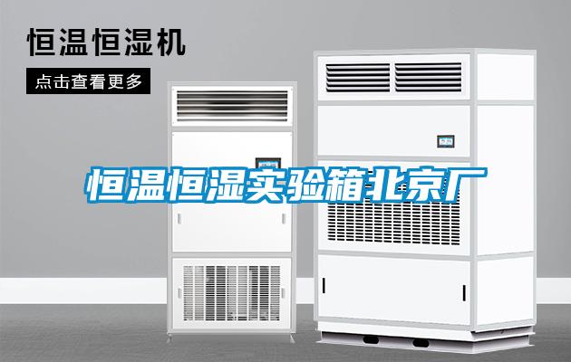 恒溫恒濕實驗箱北京廠