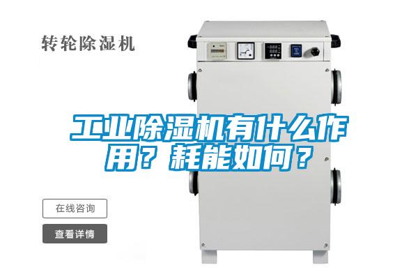 工業(yè)除濕機(jī)有什么作用？耗能如何？