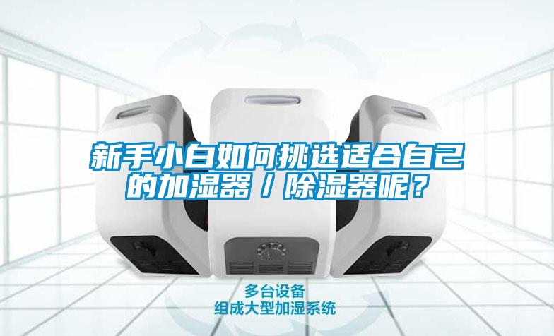 新手小白如何挑選適合自己的加濕器／除濕器呢？
