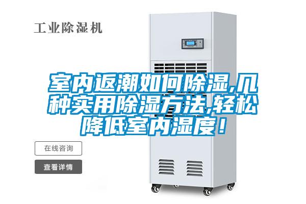 室內(nèi)返潮如何除濕,幾種實用除濕方法,輕松降低室內(nèi)濕度！