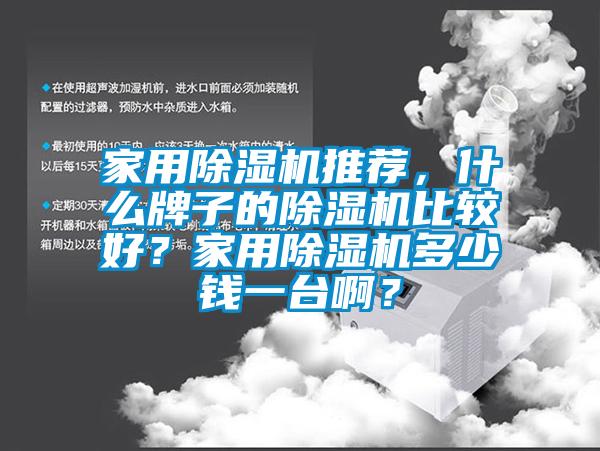 家用除濕機推薦，什么牌子的除濕機比較好？家用除濕機多少錢一臺??？