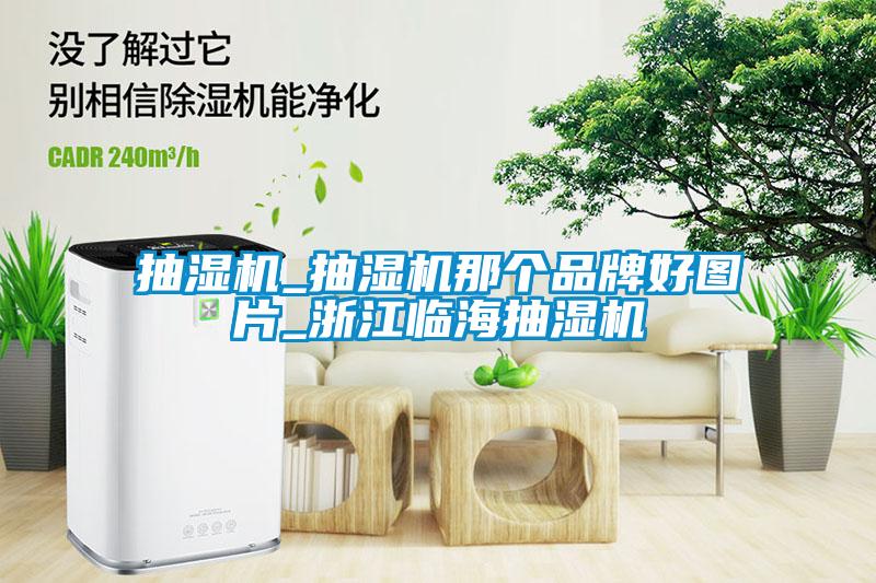抽濕機(jī)_抽濕機(jī)那個品牌好圖片_浙江臨海抽濕機(jī)
