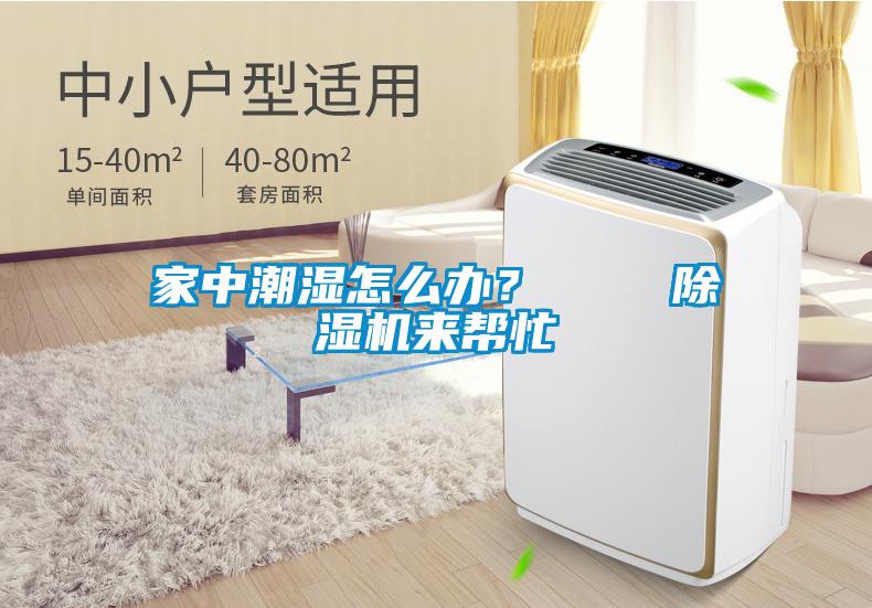 家中潮濕怎么辦？    除濕機(jī)來幫忙