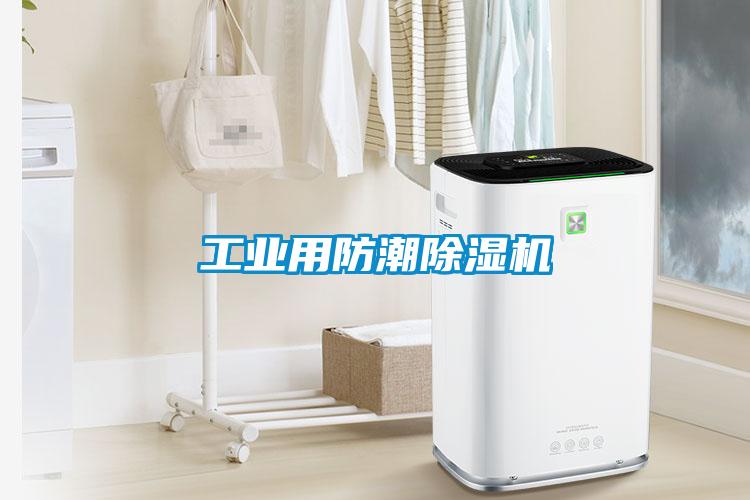 工業(yè)用防潮除濕機(jī)