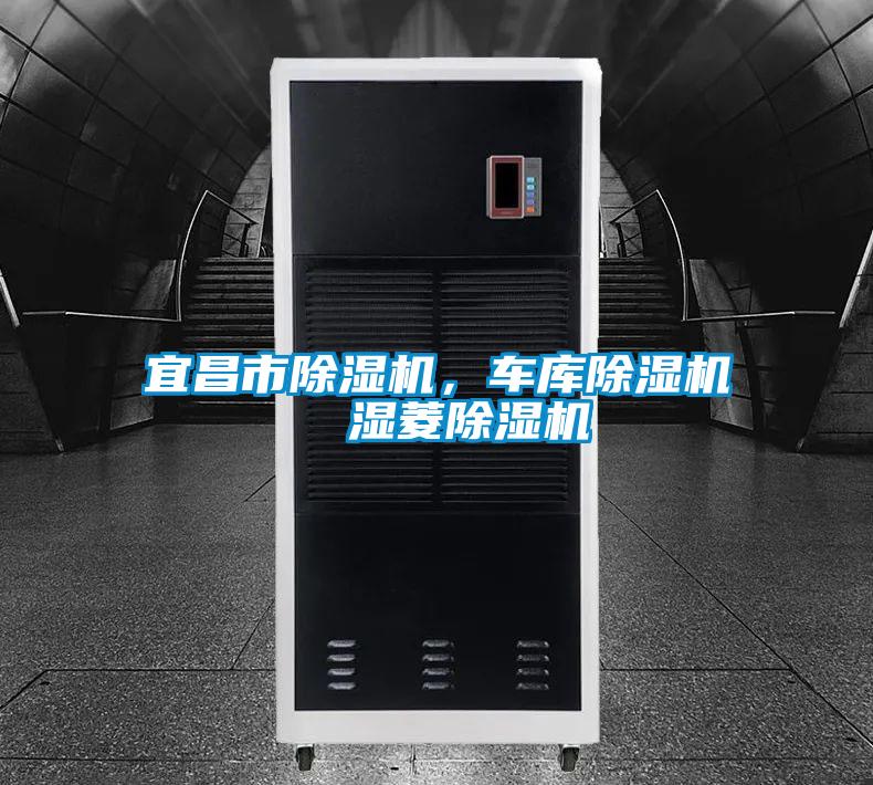 宜昌市除濕機(jī)，車庫(kù)除濕機(jī)  濕菱除濕機(jī)