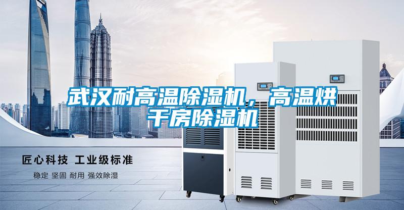 武漢耐高溫除濕機(jī)，高溫烘干房除濕機(jī)