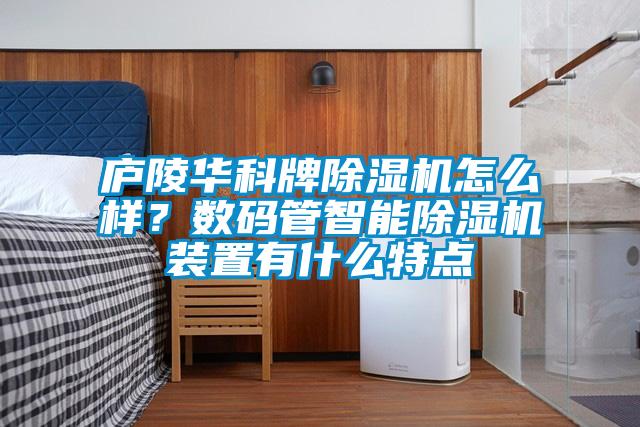 廬陵華科牌除濕機怎么樣？數(shù)碼管智能除濕機裝置有什么特點