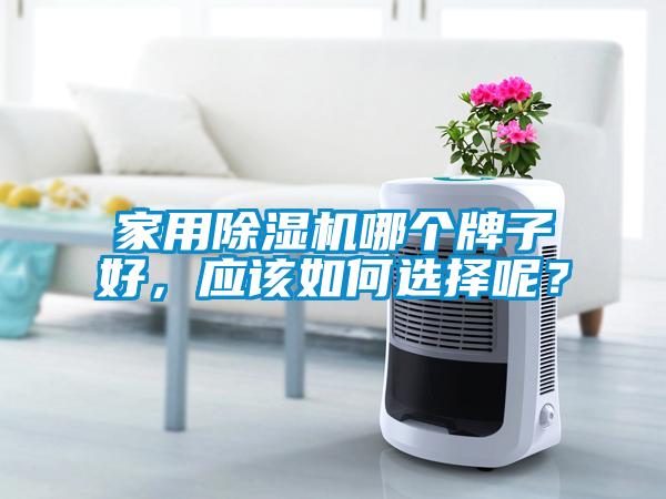 家用除濕機(jī)哪個(gè)牌子好，應(yīng)該如何選擇呢？
