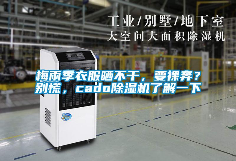 梅雨季衣服曬不干，要裸奔？別慌，cado除濕機(jī)了解一下