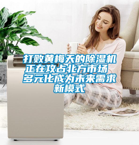 打敗黃梅天的除濕機正在攻占北方市場 多元化成為未來需求新模式