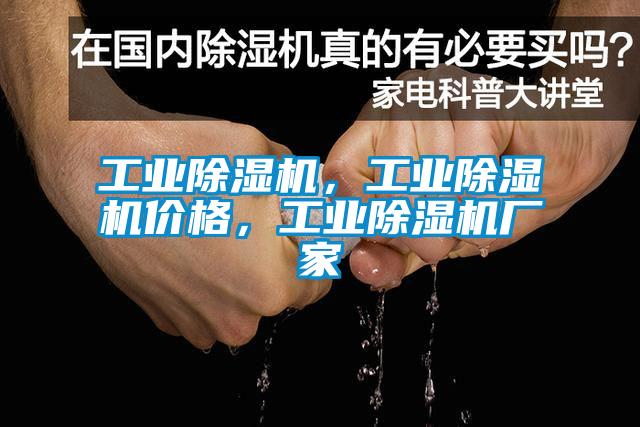 工業(yè)除濕機，工業(yè)除濕機價格，工業(yè)除濕機廠家