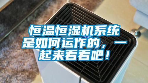 恒溫恒濕機(jī)系統(tǒng)是如何運(yùn)作的，一起來看看吧！