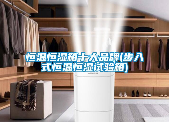 恒溫恒濕箱十大品牌(步入式恒溫恒濕試驗箱)