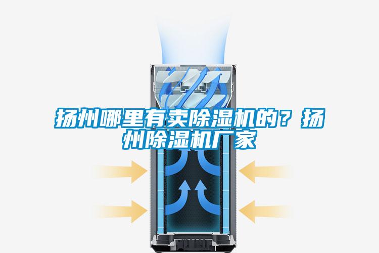 揚(yáng)州哪里有賣除濕機(jī)的？揚(yáng)州除濕機(jī)廠家