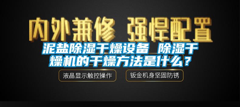 泥鹽除濕干燥設(shè)備 除濕干燥機(jī)的干燥方法是什么？