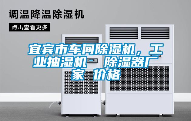 宜賓市車間除濕機，工業(yè)抽濕機  除濕器廠家 價格