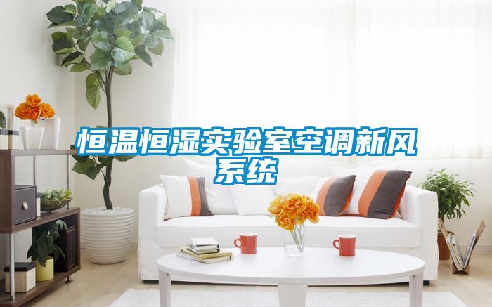 恒溫恒濕實驗室空調新風系統(tǒng)