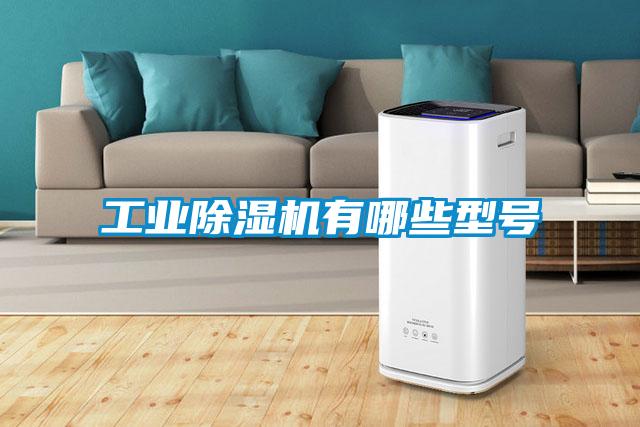 工業(yè)除濕機有哪些型號