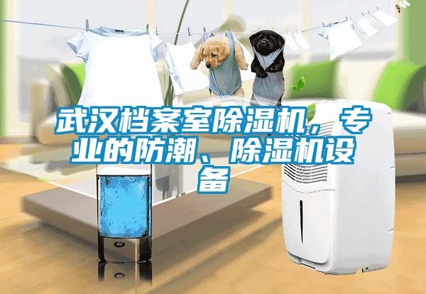 武漢檔案室除濕機(jī)，專業(yè)的防潮、除濕機(jī)設(shè)備