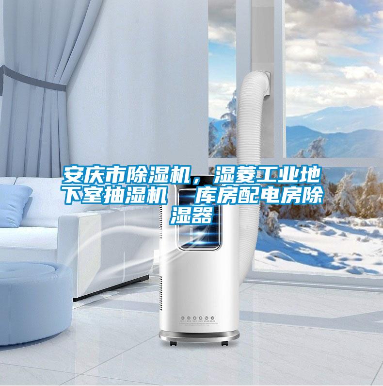 安慶市除濕機(jī)，濕菱工業(yè)地下室抽濕機(jī)  庫房配電房除濕器