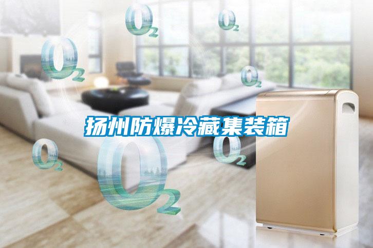 揚(yáng)州防爆冷藏集裝箱