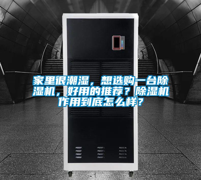 家里很潮濕，想選購一臺除濕機，好用的推薦？除濕機作用到底怎么樣？