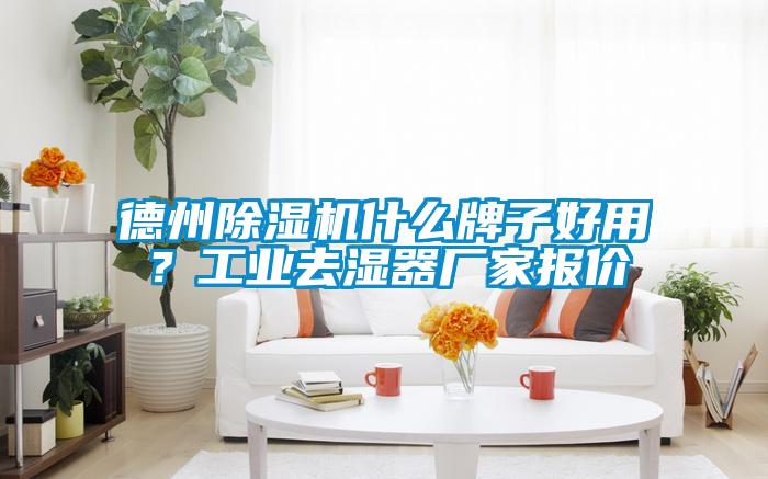 德州除濕機什么牌子好用？工業(yè)去濕器廠家報價