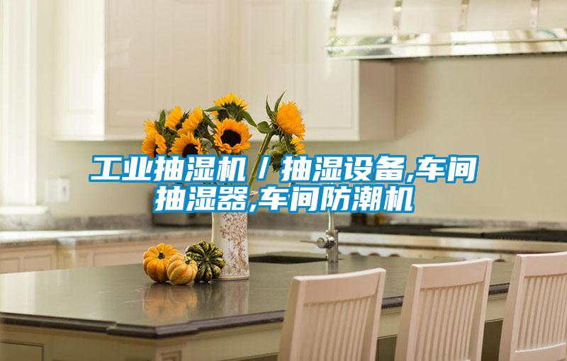 工業(yè)抽濕機／抽濕設(shè)備,車間抽濕器,車間防潮機