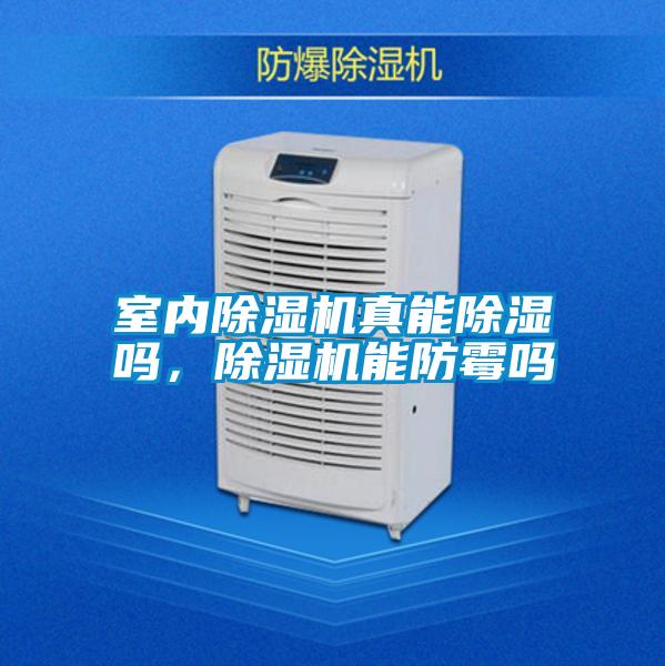 室內(nèi)除濕機(jī)真能除濕嗎，除濕機(jī)能防霉嗎