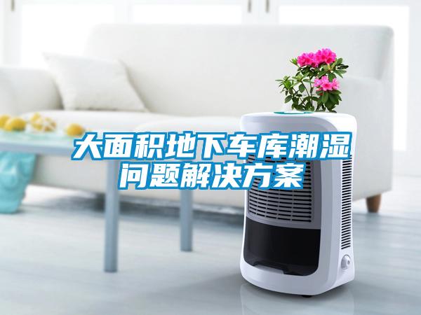大面積地下車(chē)庫(kù)潮濕問(wèn)題解決方案