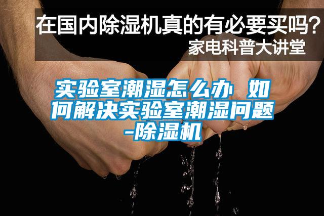 實(shí)驗(yàn)室潮濕怎么辦 如何解決實(shí)驗(yàn)室潮濕問(wèn)題-除濕機(jī)